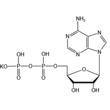 Adenosine 5'-diphosphate monopotassium salt(ADP-K)