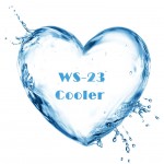 Cooling Agent ws-23 Powder N,2,3-Trimethyl-2-isopropyl Butanamide