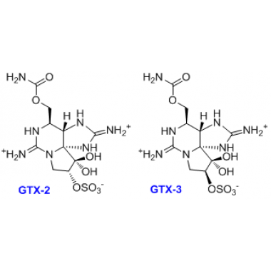 11α-hydroxysaxitoxin;Gonyautoxin 2