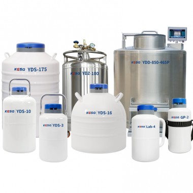 Syrian Arab Republic Liquid Nitrogen Tank Cell Storage Cryo Vessel