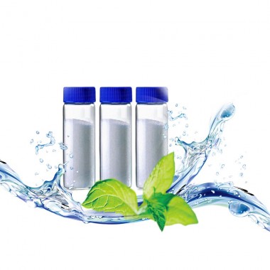 Food Grade Cooler Ws-12 Cooling Agent Powder for Soap