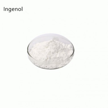 Ingenol