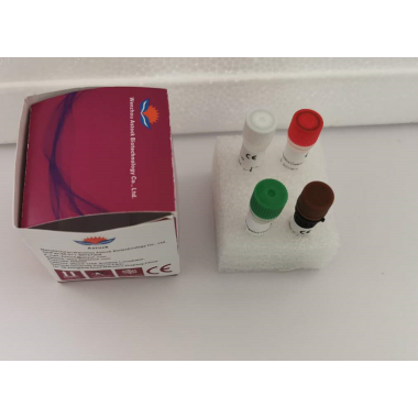 COVID-19 Virus Nucleic Acid Detection Kit