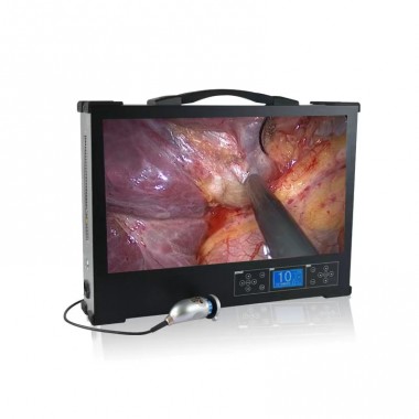 Endoscopic System