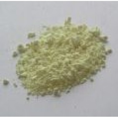 Daucus carota Extract