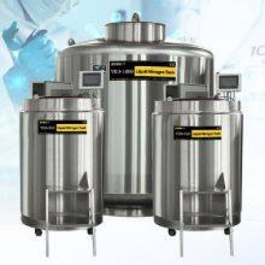 Latvia Vapor Phase Liquid Nitrogen Tank Ultra Low Temperature