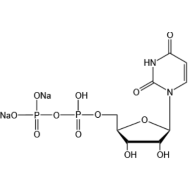 Uridine 5'-diphosphate disodium salt(UDP-Na2)