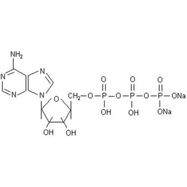 Pamidronate Disodium