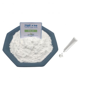 High Pure Cooling Agent Powder WS-23 For Toothpaste Free Sample