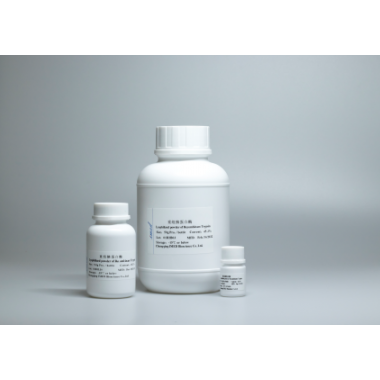 Recombinant Trypsin