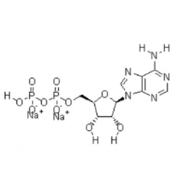 Adenosine 5'-diphosphate disodium salt(ADP- Na2)