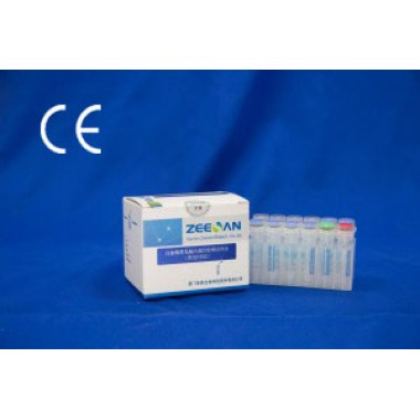Leukemia Fusion Genes (Q30) Screening Kit