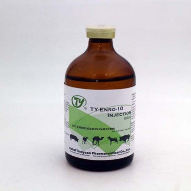 enrofloxacin injection