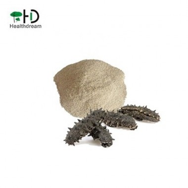 Sea Cucumber Freeze-Dried Powder