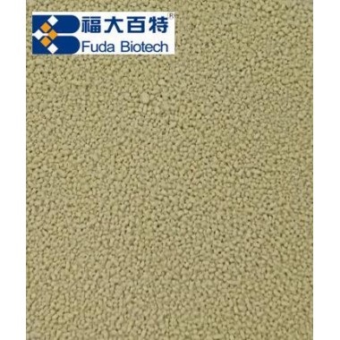 lipase