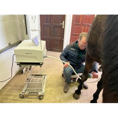 Animal shock wave therapy machine