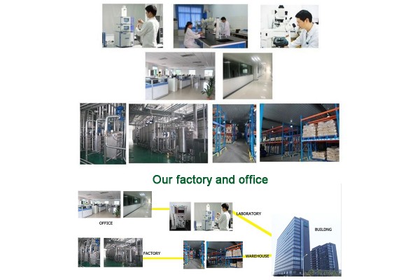 wuhan healthdream biological technology Co.Ltd.