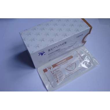 Chromic Catgut surgical Suture