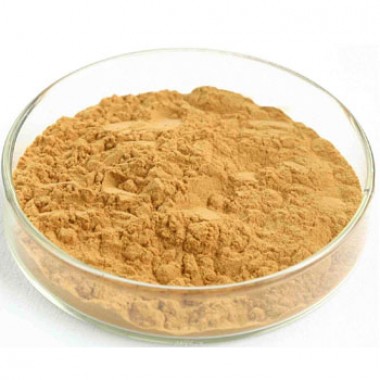 Ginkgo Biloba Extract Powder