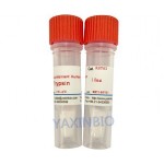 Recombinant human trypsin