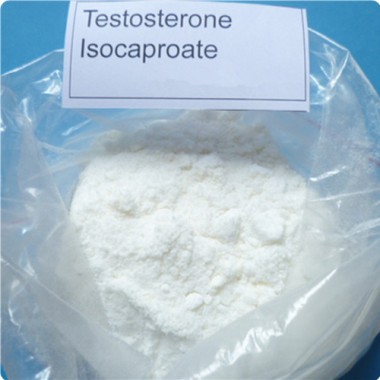 Testosterone Isocaproate