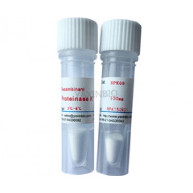 recombinant proteinase K