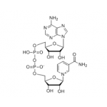 β-Nicotinamide Adenine Dinuclotide