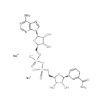 NADH(Reduced Coenzyme-I)