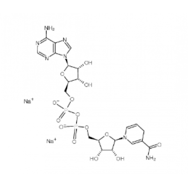 NADH(Reduced Coenzyme-I)