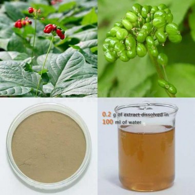 Panax Ginseng Berry ( Fruit ) Extract