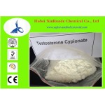 Muscle Enhancement Steroids Testosterone Cyclopentylpropionate 99% CAS 58-20-8