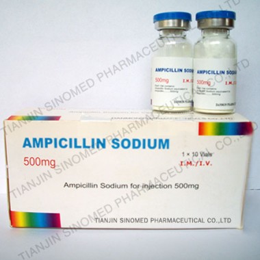 Ampicillin Sodium powder for Injection