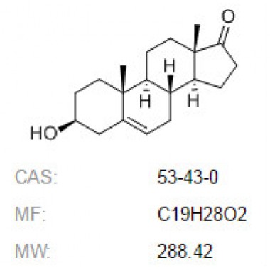 Dehydroepiandrosterone