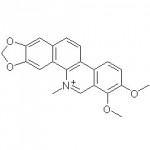 Chelerythrine