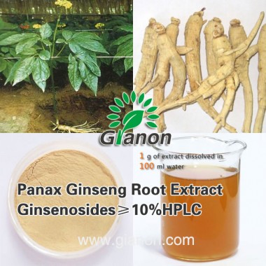 Panax Ginseng Root Extract