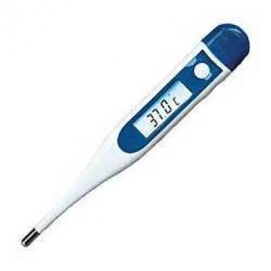 Digital Thermometers