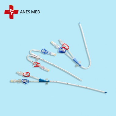 Double Lumen Hemodialysis Catheters