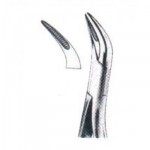 Root Splinter Forceps