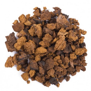 Chaga polysaccharides