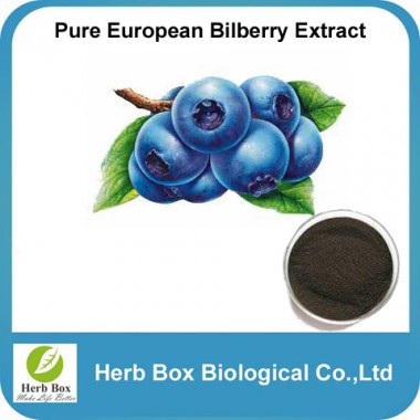 bilberry extract