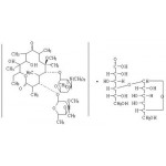 Clarithromycin Lactobionate