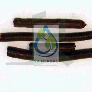 Cassia fistula