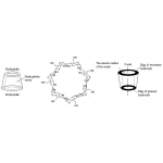 Beta Cyclodextrin Molecular Weight Beta-Cyclodextrin