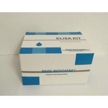 Human Vitamin D (VD) ELISA Kit