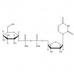 Uridine 5\'-diphosphoglucose disodium salt (UDPG-Na2, CAS No.28053-08-9)