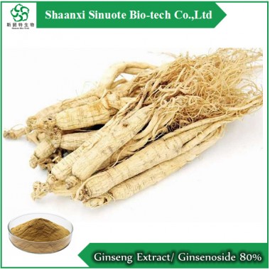 Factory Ginseng/ Panax Ginseng Extract/Ginsenoside 80% Powder