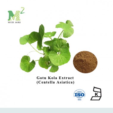 Cosmetic Grade 10%-90% Asiaticoside 95% Asiatic Acid Gotu Kola Extract