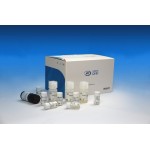 Dynamiker Human Procalcitonin Assay