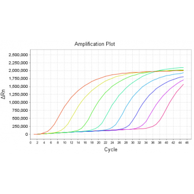 Diagnostic Kit for Respiratory Syncytial Virus (RSV) & Human Rhinovirus (HRV) (Fluorescence probe RT-PCR)