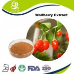 Natural Medlar Extract